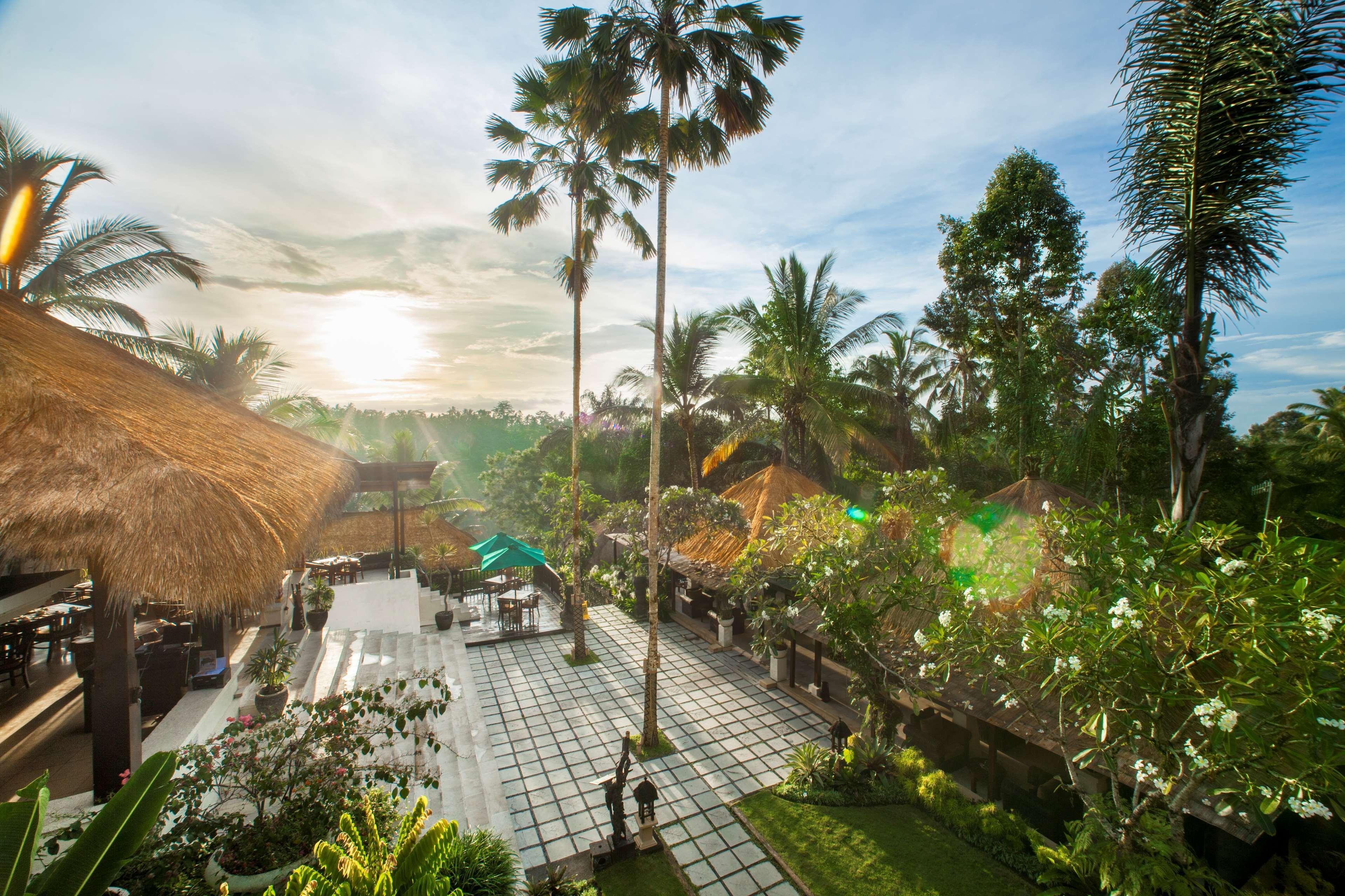 Nandini Jungle Resort&spa Bali Ubud