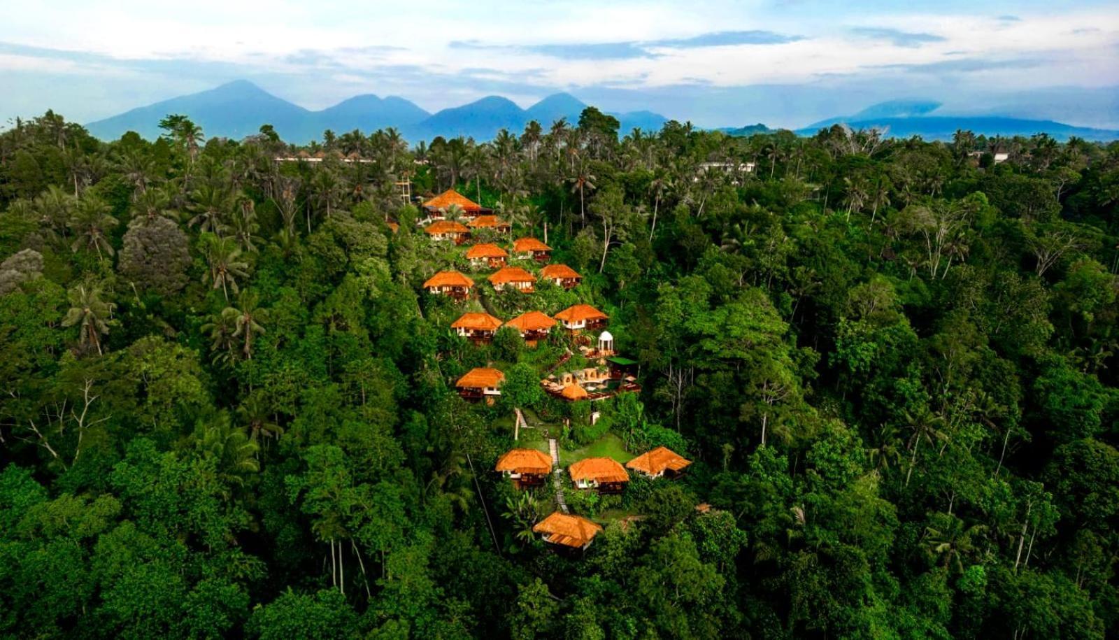 सहारा Nandini Jungle By Hanging Gardens