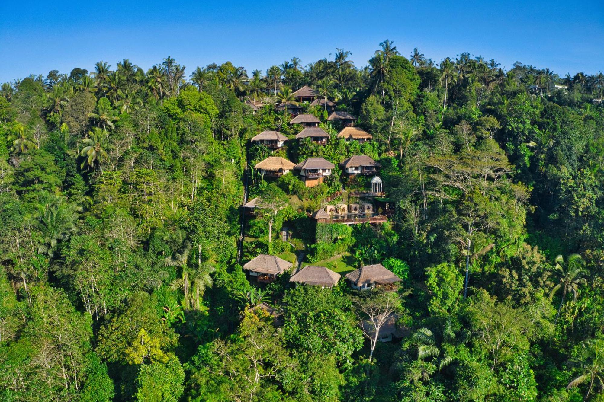 सहारा Nandini Jungle By Hanging Gardens