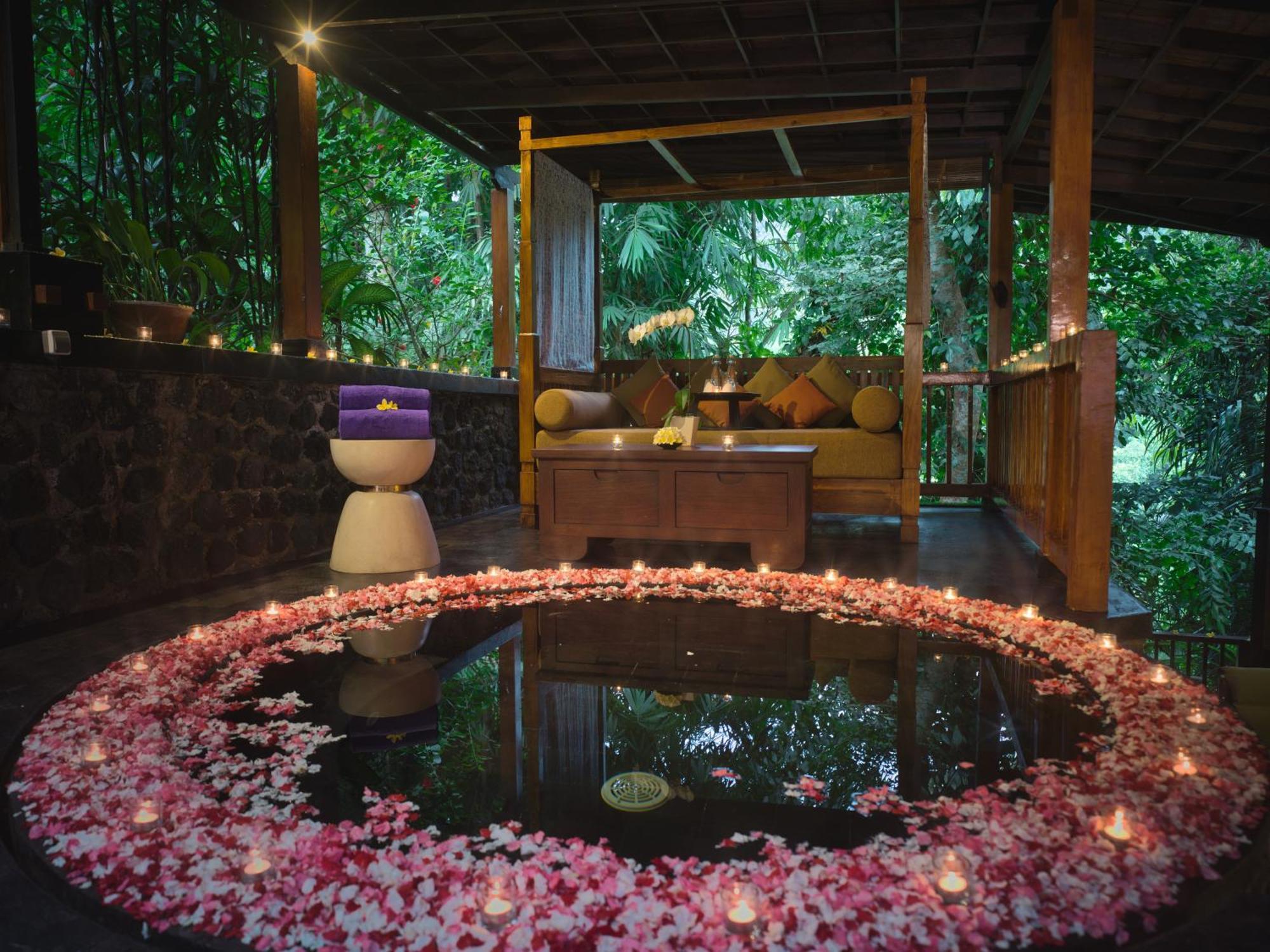 Nandini Jungle By Hanging Gardens