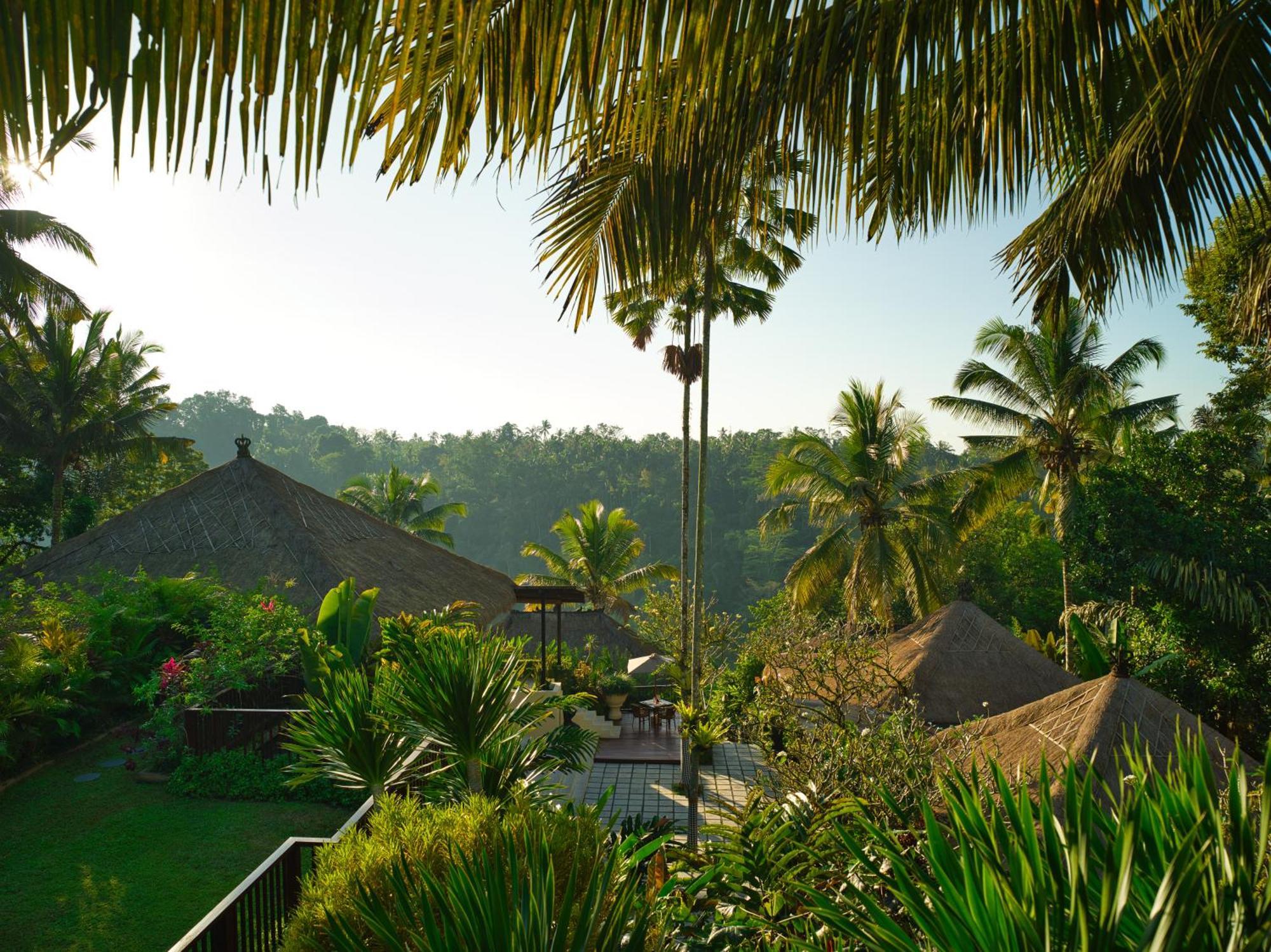 Nandini Jungle By Hanging Gardens